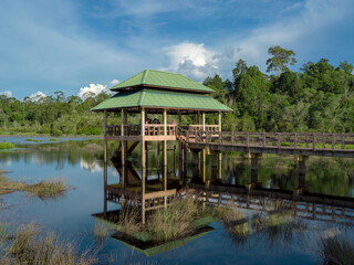 Fototapeta premium gazebo on the lake