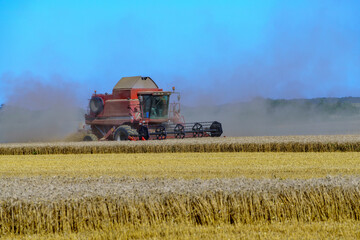 Naklejka premium Paysage campagne 1089