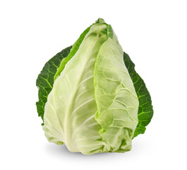 Fresh green pointed cabbage isolated on white background.