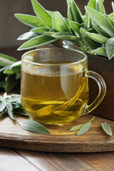 Sage herbal tea or decoction with fresh herb leaves close on rustic wooden background, closeup, ...