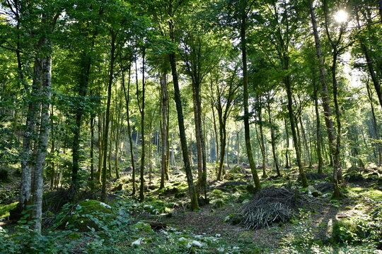 Most beautiful lakes in the world to relax and wonderful colors