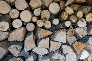 Photography on theme big wall of stacked oak tree logs