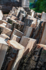 Fototapeta na wymiar Photography on theme big wall of stacked oak tree logs