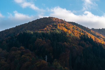 autumn in the mountains early morning