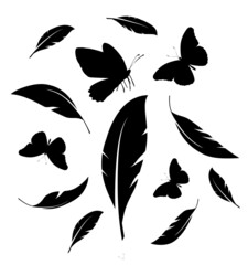 Flock of black feathers and butterflies isolated on white background. Vector