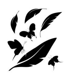 Flock of black feathers and butterflies isolated on white background