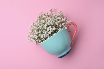 Beautiful gypsophila in cup on pink background, top view