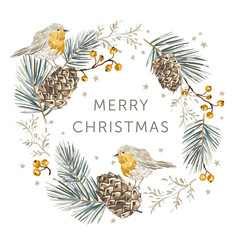 Christmas wreath with robin birds, white background. Green pine, fir twigs, cedar cones, berries, stars. Vector illustration. Nature design. Greeting card, poster template. Winter Xmas