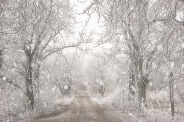 Harsh frosted trees and grass along a narrow rural road, scenic winter landscape during snowfall. Outdoor travel or transportation background