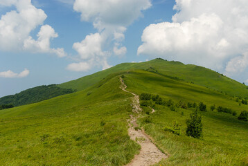 Obraz premium A mountain trail among the meadows, Bieszczady Mountains, Poland