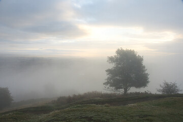Misty Hilltop View