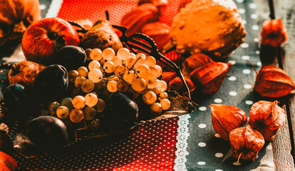 fresh autumn fruits and vegetables thanksgiving