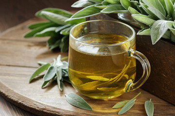 Sage herbal tea or decoction with fresh herb leaves close on rustic wooden background, closeup, ...