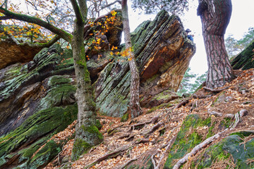 rocks of the sandstone formation 