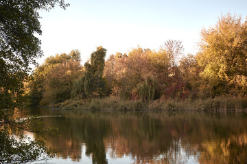 Trees nature background over water. Landscape, autumn, warm colors, light sky, lake, trees, flora