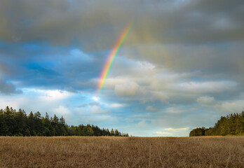 Rainbow over the farm fields