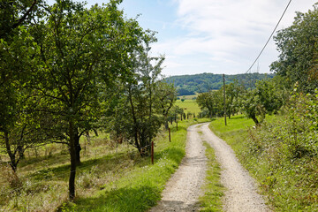 Wanderweg bei Naumburg an der Saale
