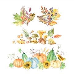 watercolor autumn ornaments collection with vegetation plants vector design illustration