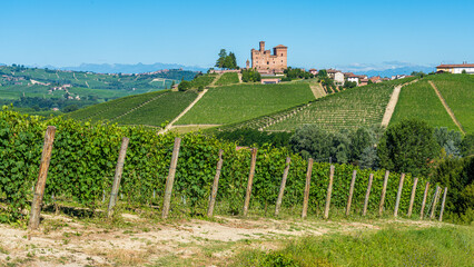 Fototapeta na wymiar The beautiful castle of Grinzane and its vineyards in the Langhe region of Piedmont, Italy.