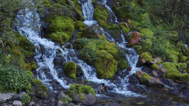 Janee Falls flowing into Swift Creek near Afton Wyoming over the mossy green rocks.