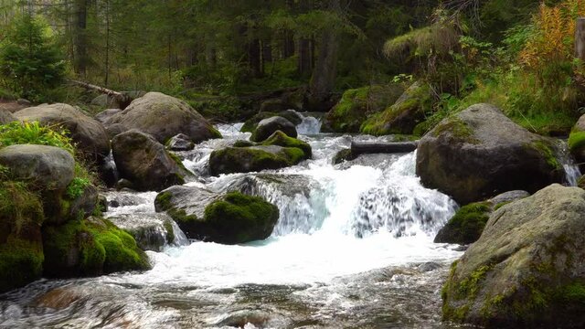 A beautiful mountain stream flows.