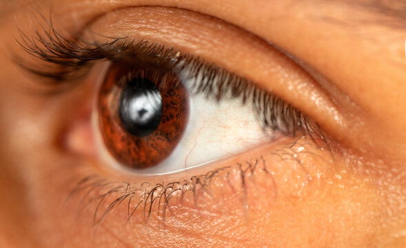 Macro Photo Of Brown Skinned Man With Brown Eyes.