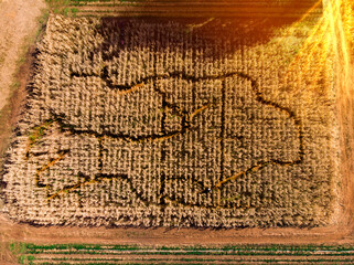 Aerial view of a corn maze at sunset