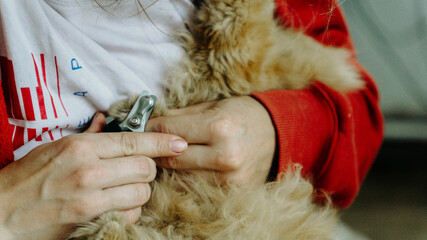 obcinanie paznokci kot pies © Tymoteusz