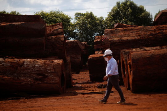 Piles of legal wood are seen in a wood company warehouse in the Amazon rainforest