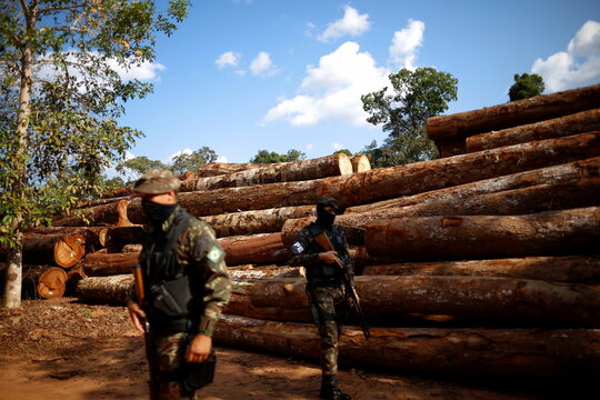 Brazilian Army soldiers are pictured in a wood company warehouse in the Amazon rainforest