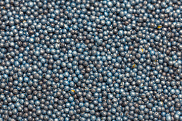 Macro. Processed blue-coated rapeseed seeds in a petri dish in the lab