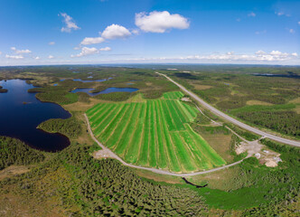 Green sod farm from above
