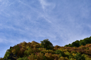 Obraz premium clouds in the forest