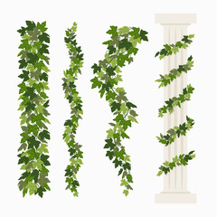 Ivy vines, and a greek antique column entwined with ivy, elements isolated on white background. Vector illustration in flat cartoon style