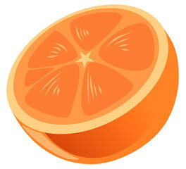 Half of fresh fruit orange on the white background. Vector illustration.