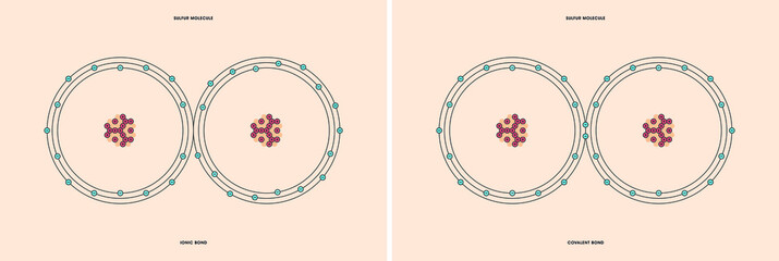 Conceptual vector representation of a sulfur molecule, made up of two atoms, and the types of chemical bonds: covalent, atoms sharing electrons, and ionic, an atom gives an electron to another atom. 