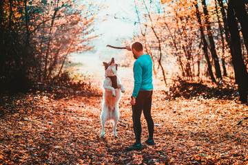 happy dog and man playing in autumn forest