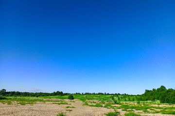 Fototapeta na wymiar Green field and trees, blue sky without clouds. Image for the project, design, photo wallpaper.