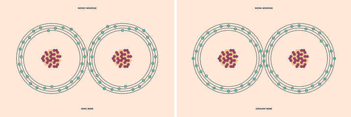 Conceptual vector representation of a nickel molecule, made up of two atoms, and the types of chemical bonds: covalent, atoms sharing electrons, and ionic, an atom gives an electron to another atom. 
