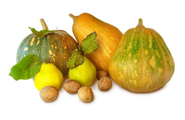 Autumn harvest. Pumpkins, walnuts and fruits isolated on white background