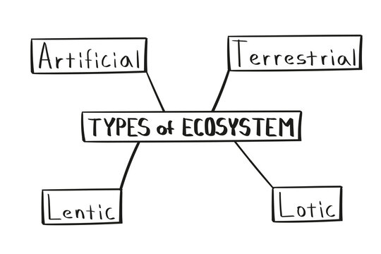 Concept of types of ecosystem mind map in handwritten style