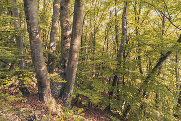 Eppan an der Weinstrasse near the town of Bolzano in the Italian South Tyrol.