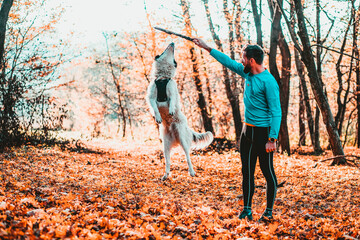 Fototapeta premium happy dog and man playing in autumn forest