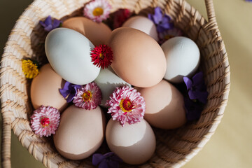 Eggs basket