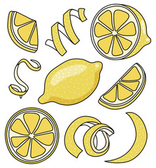 Collection set of yellow lemon and citrus fruits zest twist for menu, farmers market design, cocktail making process illustration, cookbook decoration etc. Doodle cartoon style vector illustration