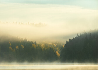 Fototapeta na wymiar morning mist on the rive