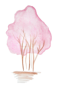 Hand-drawn watercolor shrub with lush pink foliage insulated on white.