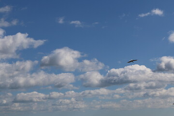 Lake Onega