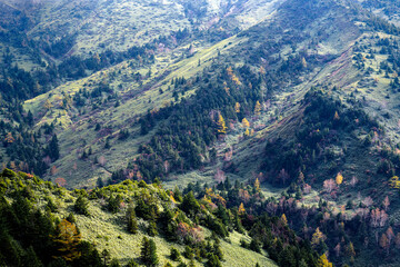 Fototapeta premium 志賀高原の秋