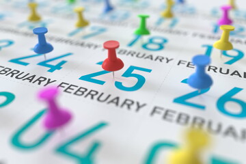 February 25 date and push pin on a calendar, 3D rendering
